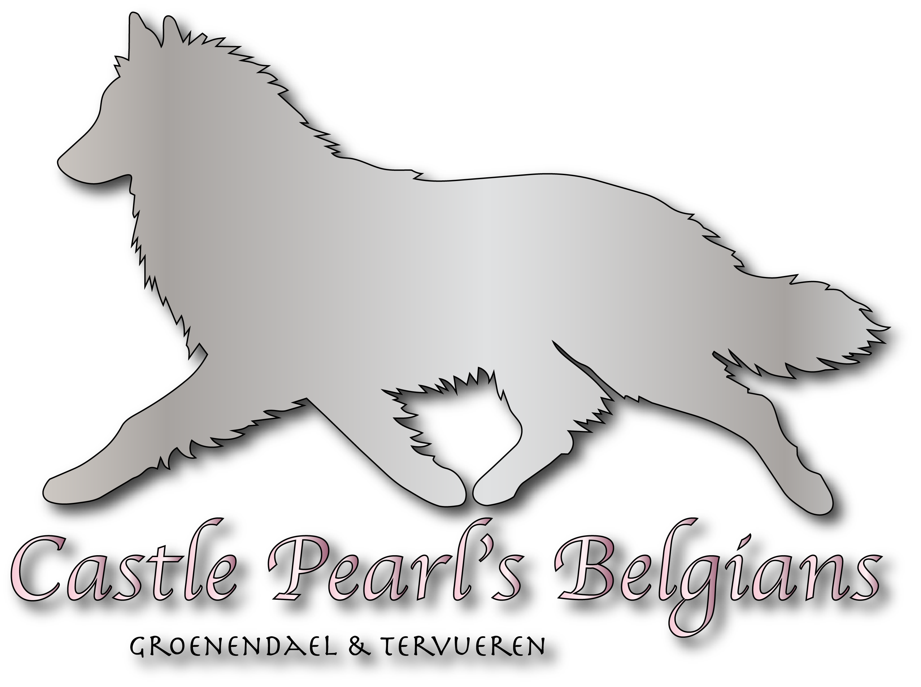 North Crystal's Logo