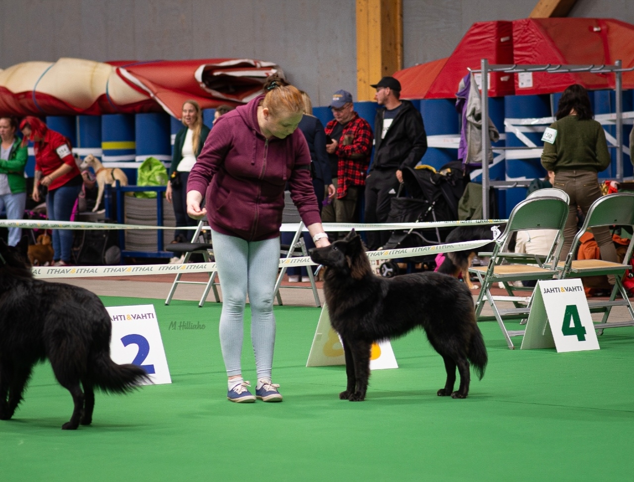 North Crystal's Sisu